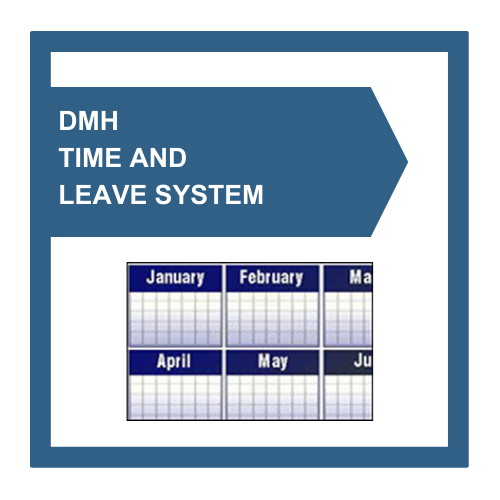 DMH Time and Leave System Button