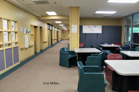 Center for Behavioral Medicine Unit Milieu
