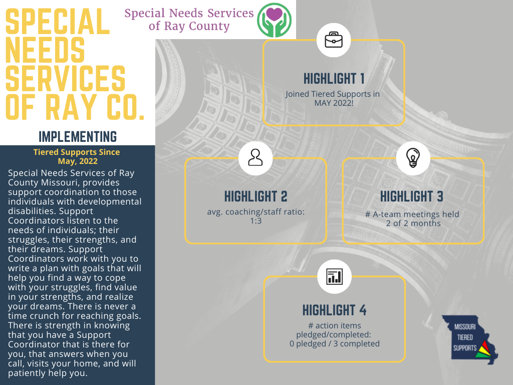 Special Needs Services of Ray Co.