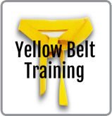 Yellow Belt Training Icon